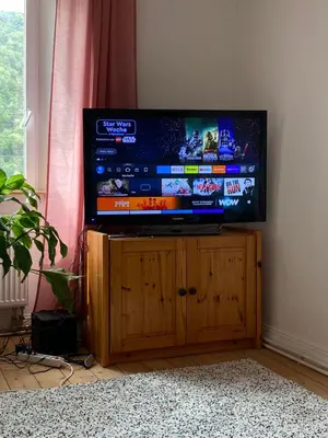 TV/Unterhaltungsangebot in der Unterkunft Helles, gemütliches Haus mit Moselblick