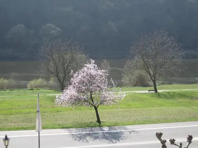 Naturlandschaft in der Nähe des Hotels