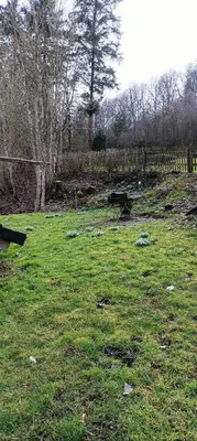 Ein Garten an der Unterkunft Eifelerlebnis