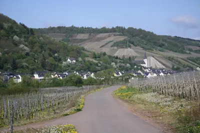 Naturlandschaft in der Nähe der Pension