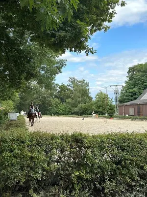Gäste, die in der Unterkunft Ferienwohnung auf Pferdehof übernachten
