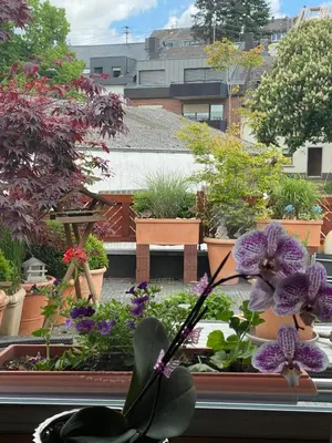 Ein Garten an der Unterkunft Gasthaus Wollscheid
