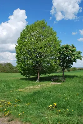 Naturlandschaft in der Nähe der Ferienwohnung