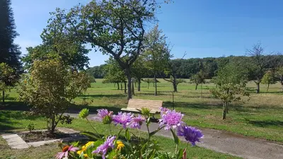 Ein Garten an der Unterkunft Tor zur Teufelsschlucht