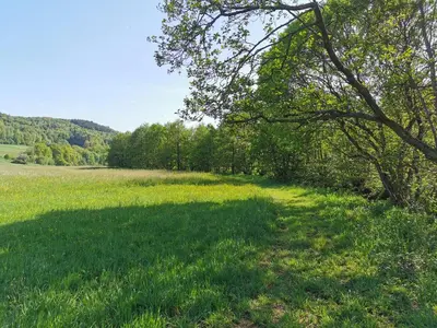 Naturlandschaft in der Nähe der Ferienwohnung