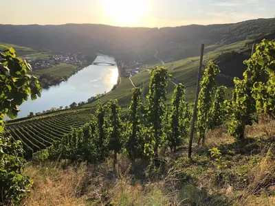 Naturlandschaft in der Nähe der Ferienwohnung
