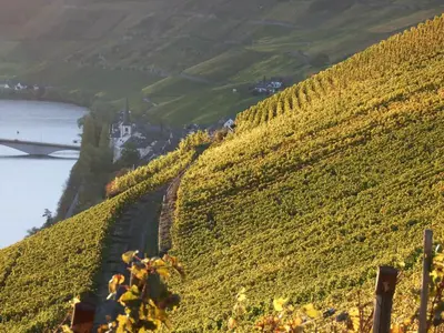 Naturlandschaft in der Nähe des Hotels