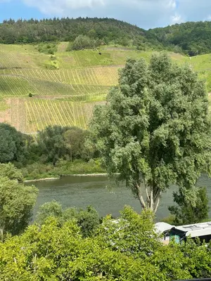 Naturlandschaft in der Nähe der Ferienwohnung