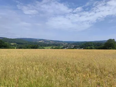 Naturlandschaft in der Nähe der Ferienwohnung