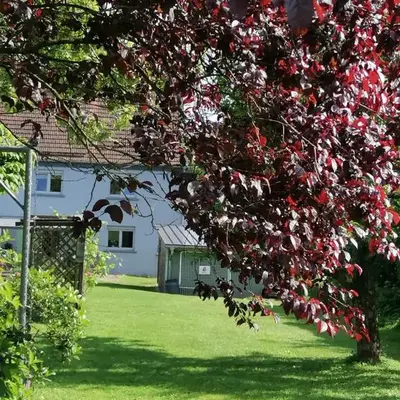 Ferienhaus MaLu