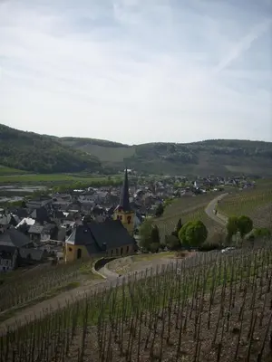 Naturlandschaft in der Nähe des Privatzimmers