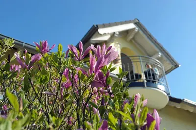 Ein Garten an der Unterkunft Ferienwohnung Landfein Schalkenmehren