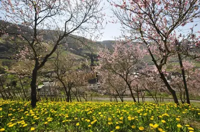 Naturlandschaft in der Nähe der Ferienwohnung