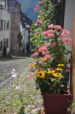 Ein Garten an der Unterkunft Gästehaus Sehl