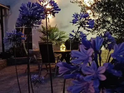 Ein Garten an der Unterkunft Gästehaus Frevel