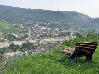 Naturlandschaft in der Nähe der Ferienwohnung
