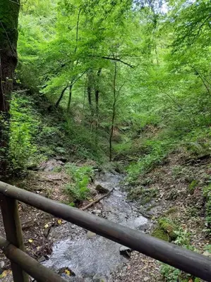 Naturlandschaft in der Nähe der Ferienwohnung