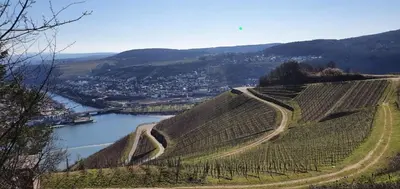 Naturlandschaft in der Nähe der Ferienwohnung