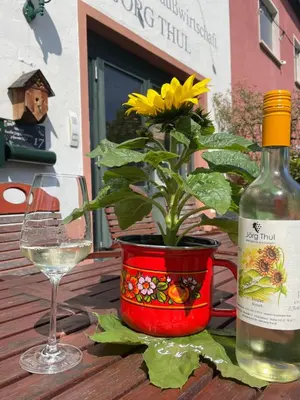 Getränke in der Unterkunft Weingut und Gästezimmer Jörg Thul