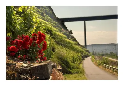 Naturlandschaft in der Nähe der Ferienwohnung