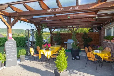 Ein Garten an der Unterkunft Ferienweingut Jürgen Beth