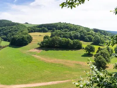 Naturlandschaft in der Nähe des Ferienhauses