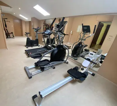 Das Fitnesscenter und/oder die Fitnesseinrichtungen in der Unterkunft Hotel Burgfrieden