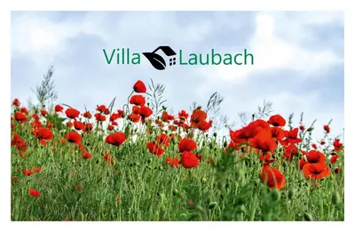 Grundriss der Unterkunft Villa Laubach
