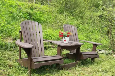 Ein Garten an der Unterkunft Villa Laubach