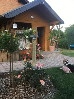 Ein Garten an der Unterkunft Gästehaus Nelles
