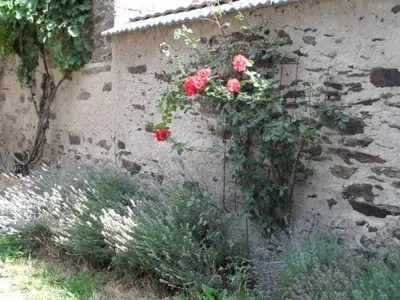 Ein Garten an der Unterkunft Bauernstube Scheidterhof