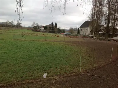 Ein Garten an der Unterkunft Bauernstube Scheidterhof