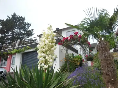 Ein Garten an der Unterkunft Julia's Mosel Villa Appartement NICOLAS