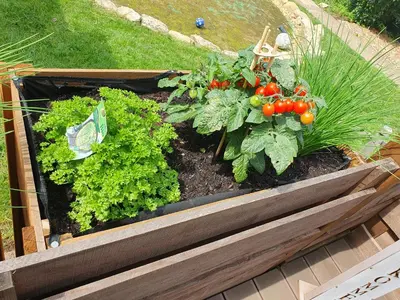 Ein Garten an der Unterkunft FeWo Weismark