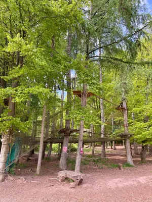Naturlandschaft in der Nähe der Ferienwohnung