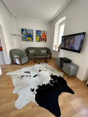 TV/Unterhaltungsangebot in der Unterkunft Villa Clauss