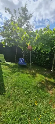 Ein Garten an der Unterkunft Ferienhaus Paul