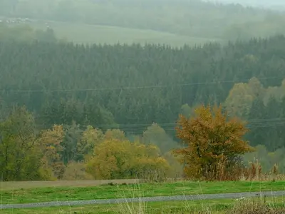 Naturlandschaft in der Nähe des Ferienhauses