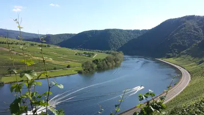 Naturlandschaft in der Nähe der Ferienwohnung