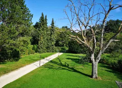 Ein Garten an der Unterkunft Ferienwohnung Rheinblick, Sport-Pool