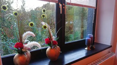 Ein Garten an der Unterkunft Ferienwohnung Haus Schöneck