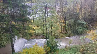 Naturlandschaft in der Nähe der Ferienwohnung
