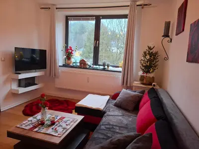 TV/Unterhaltungsangebot in der Unterkunft Ferienwohnung Haus Schöneck