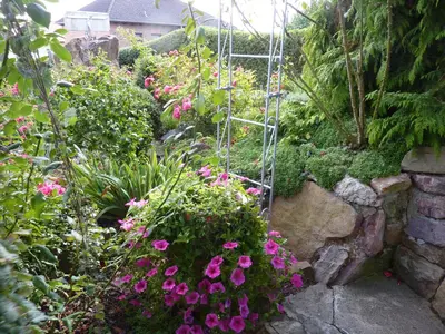Ein Garten an der Unterkunft Haus Alexandra