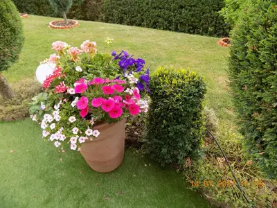 Ein Garten an der Unterkunft Haus Alexandra