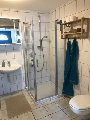 Ein Badezimmer in der Unterkunft Moselidylle und Cityflair - Ferienwohnung Beth
