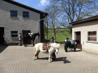 Tiere in diesem Bauernhof oder in der Nähe