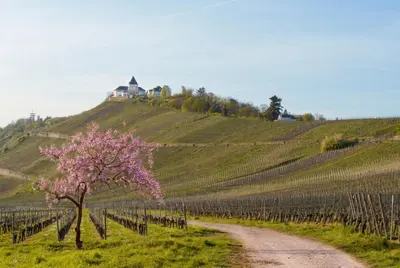 Naturlandschaft in der Nähe der Ferienwohnung