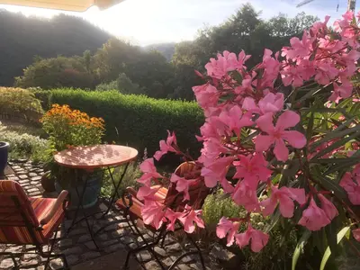Ein Garten an der Unterkunft Landhotel Pension Haus Sonneck