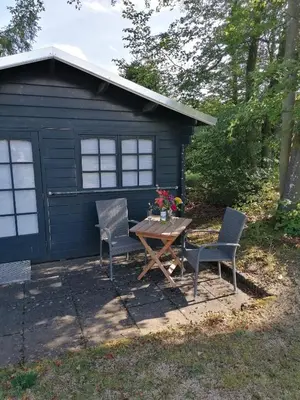 Ein Garten an der Unterkunft Eifel Residence 2